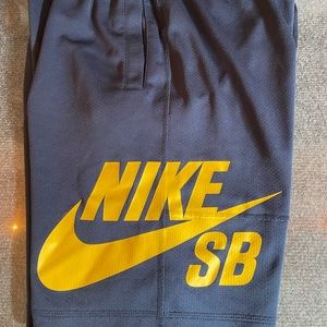 Nike SB mesh shorts Mens Large